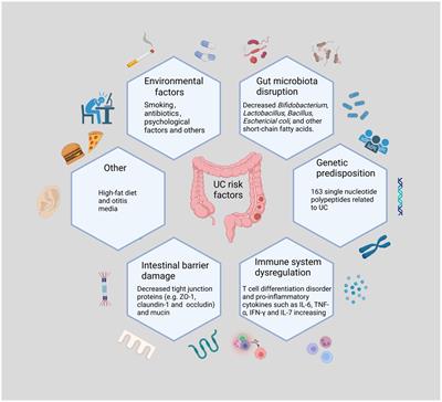 Probiotics for the treatment of ulcerative colitis: a review of experimental research from 2018 to 2022